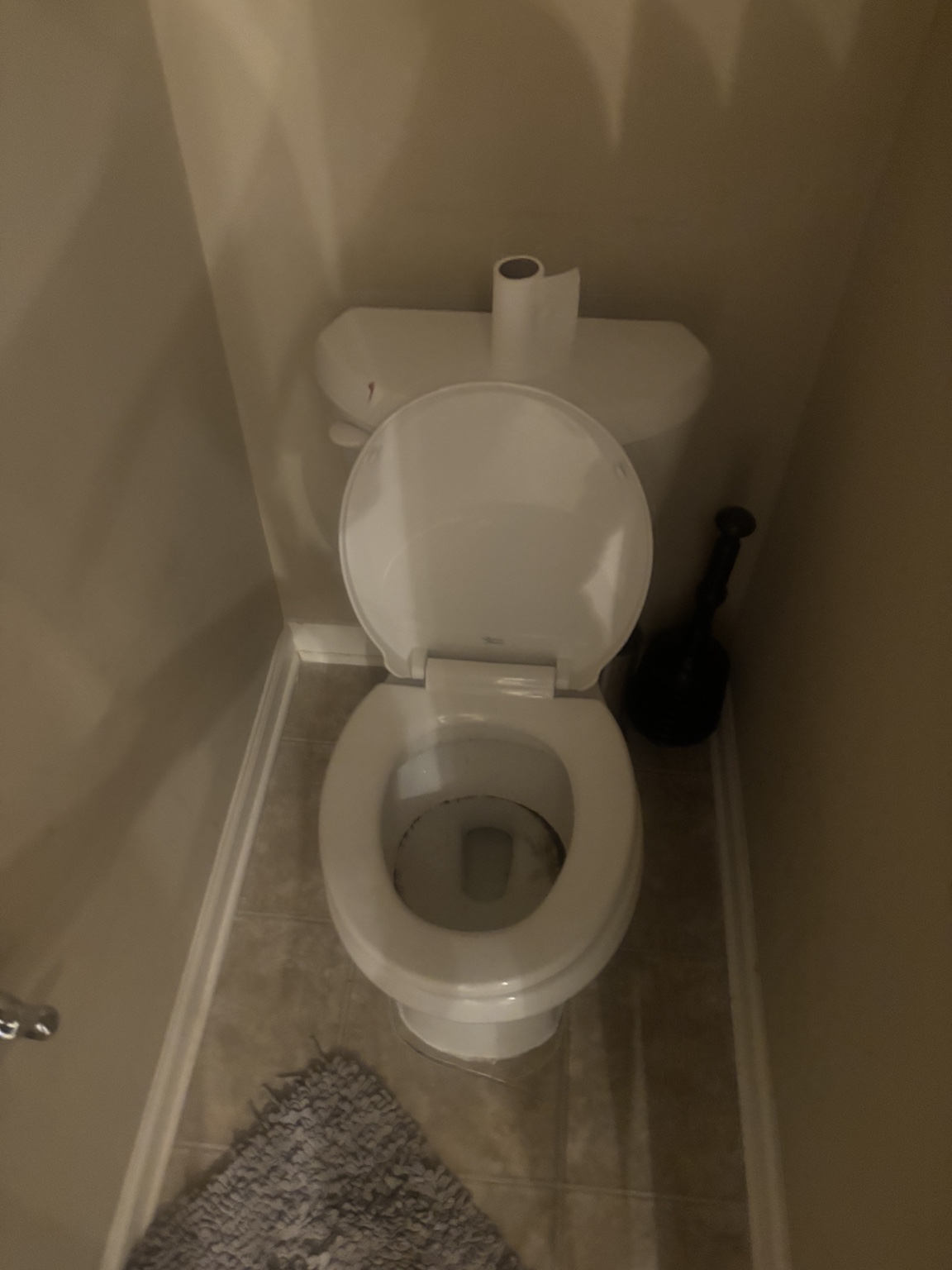 Toilet area before bathroom cleaning
